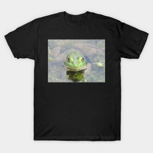 Biltmore the Frog T-Shirt